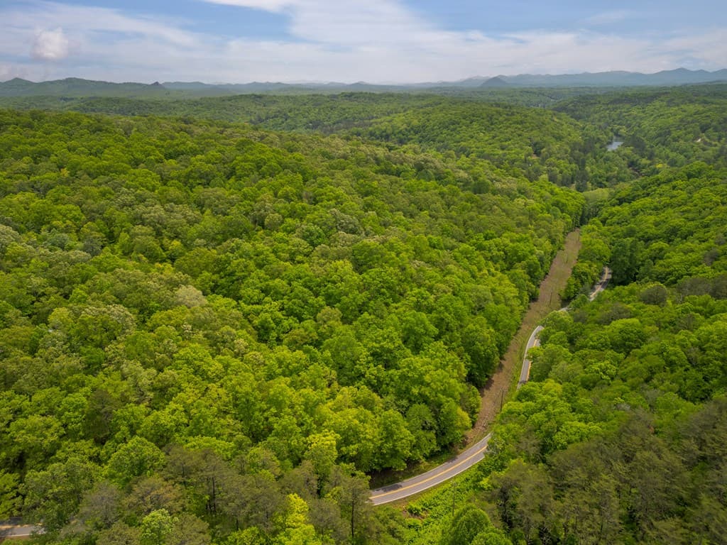 2.90Acre Galloway Road, Blue Ridge GA 30513 - Photo
