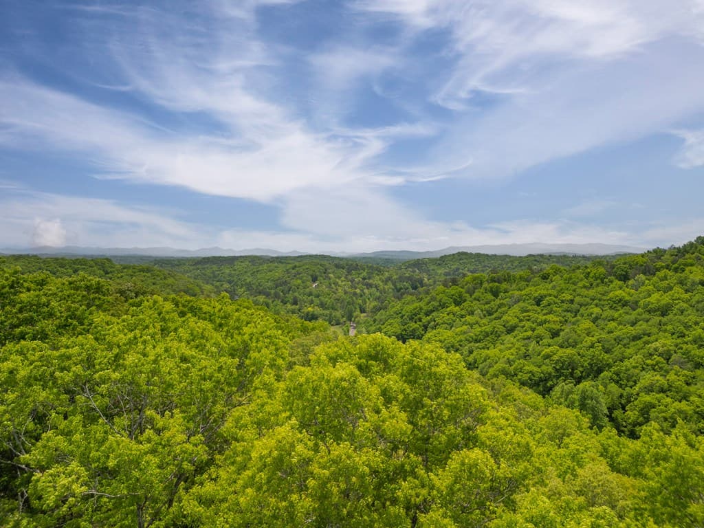 2.90Acre Galloway Road, Blue Ridge GA 30513 - Photo