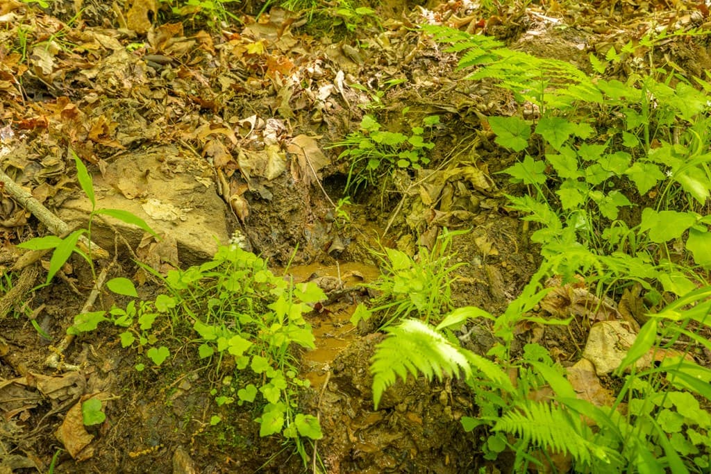 2.90Acre Galloway Road, Blue Ridge GA 30513 - Photo