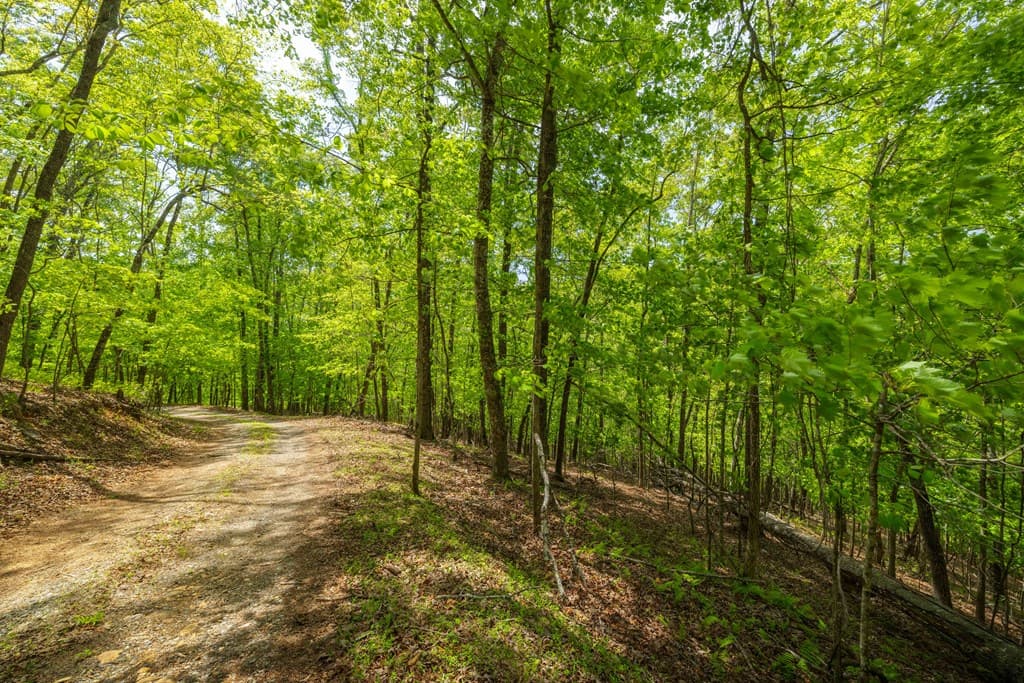 2.90Acre Galloway Road, Blue Ridge GA 30513 - Photo