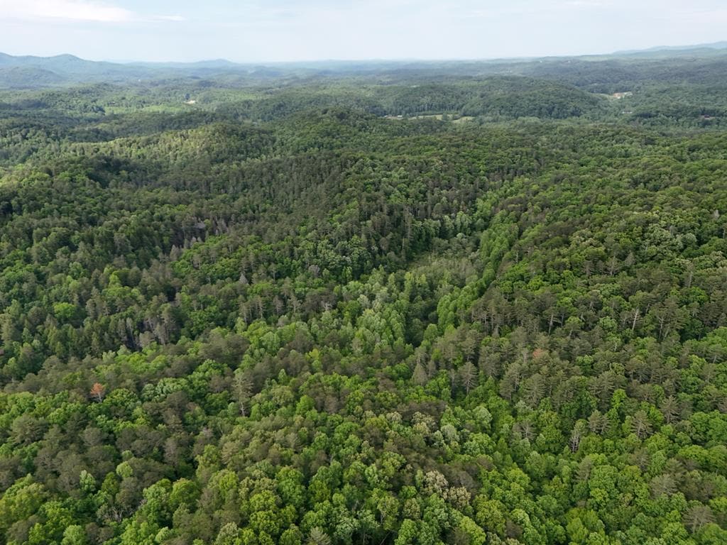 13 Acres Goose Island Road, Ellijay GA 30540 - Photo