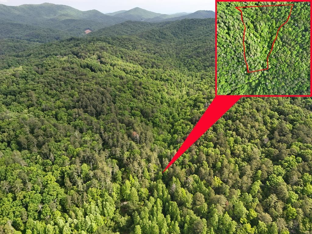 13 Acres Goose Island Road, Ellijay GA 30540 - Photo