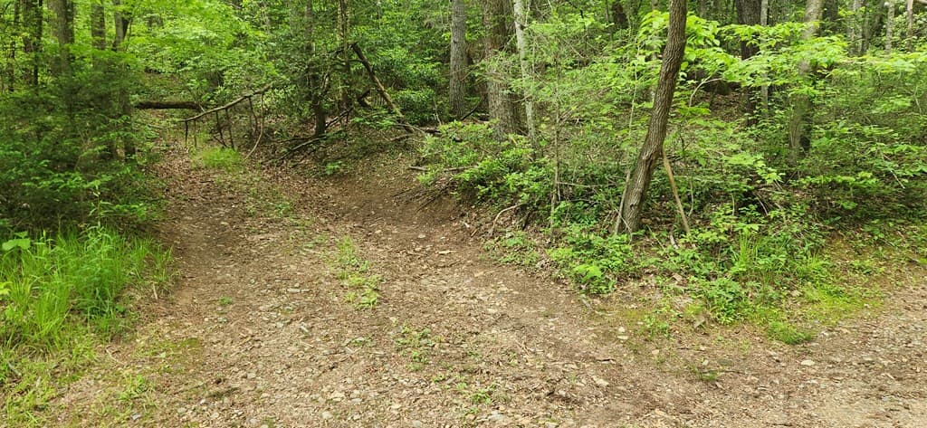 13 Acres Goose Island Road, Ellijay GA 30540 - Photo