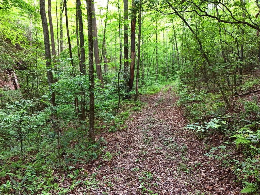13 Acres Goose Island Road, Ellijay GA 30540 - Photo