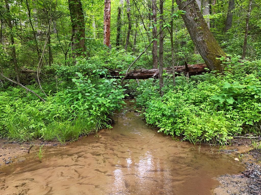 13 Acres Goose Island Road, Ellijay GA 30540 - Photo