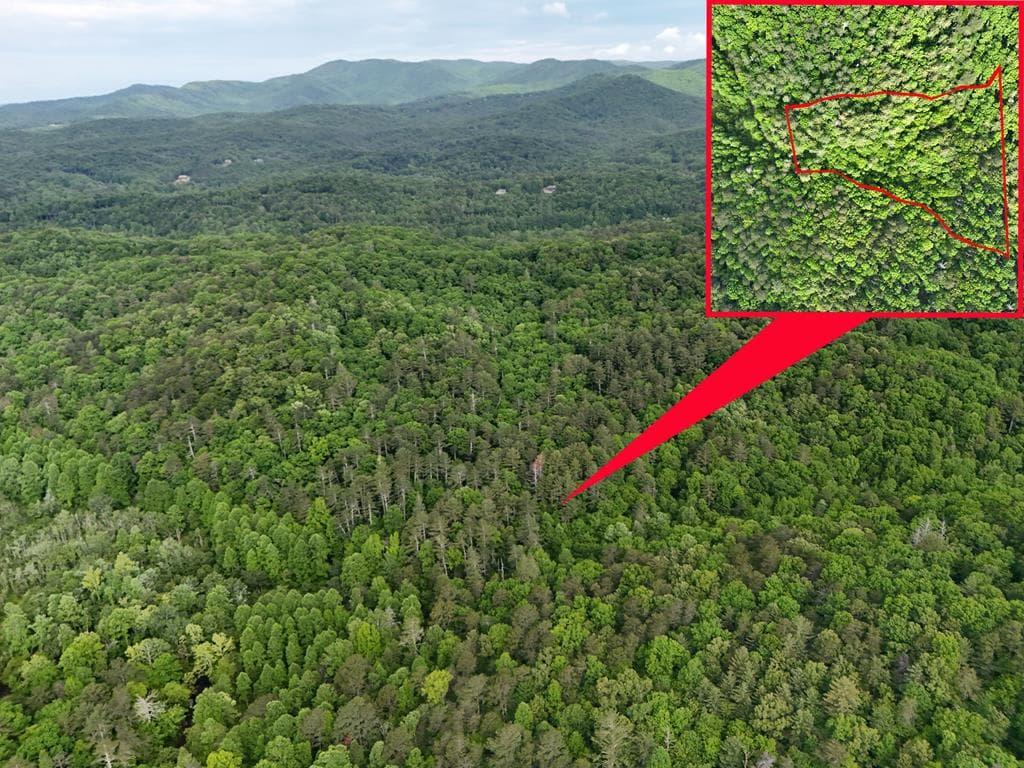 13 Acres Goose Island Road, Ellijay GA 30540 - Photo