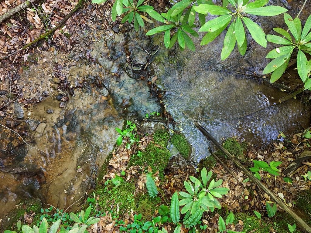 13 Acres Goose Island Road, Ellijay GA 30540 - Photo