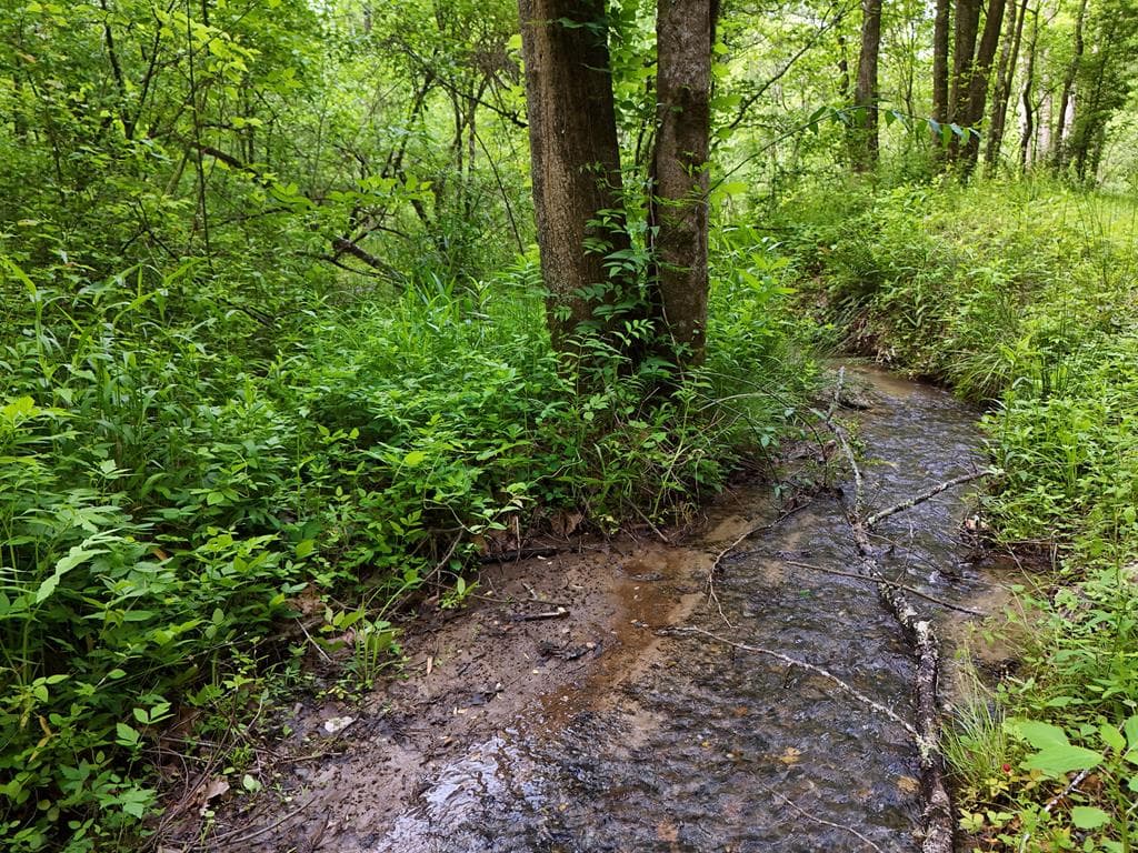 13 Acres Goose Island Road, Ellijay GA 30540 - Photo