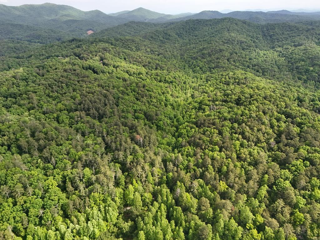 13 Acres Goose Island Road, Ellijay GA 30540 - Photo