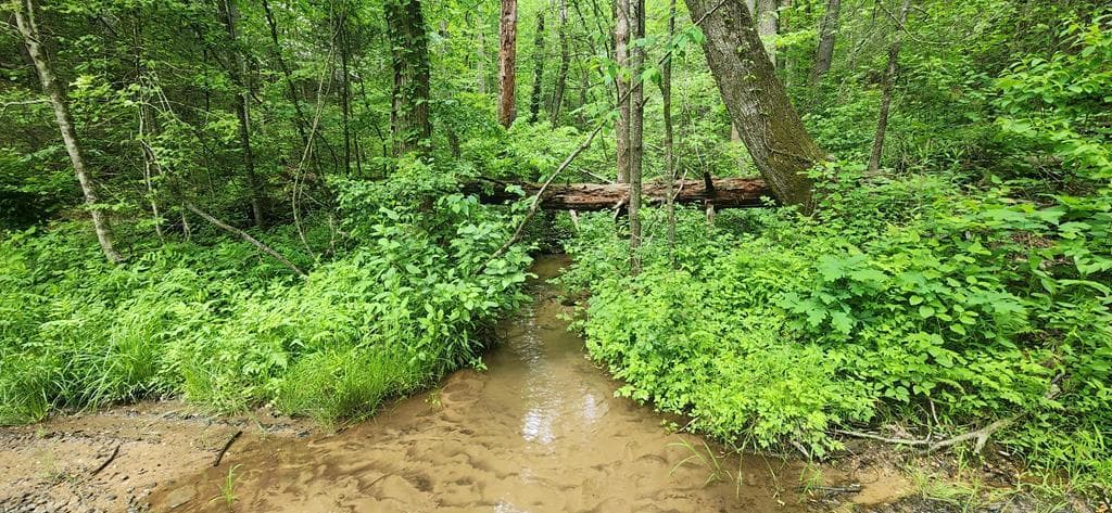 13 Acres Goose Island Road, Ellijay GA 30540 - Photo