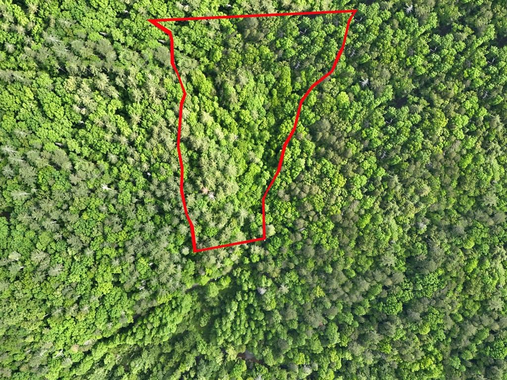 13 Acres Goose Island Road, Ellijay GA 30540 - Photo