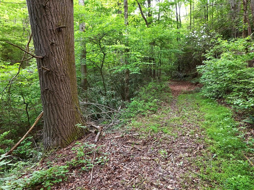 13 Acres Goose Island Road, Ellijay GA 30540 - Photo
