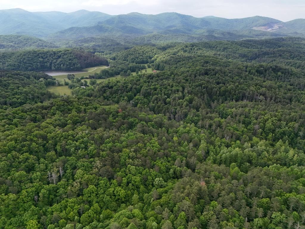 13 Acres Goose Island Road, Ellijay GA 30540 - Photo