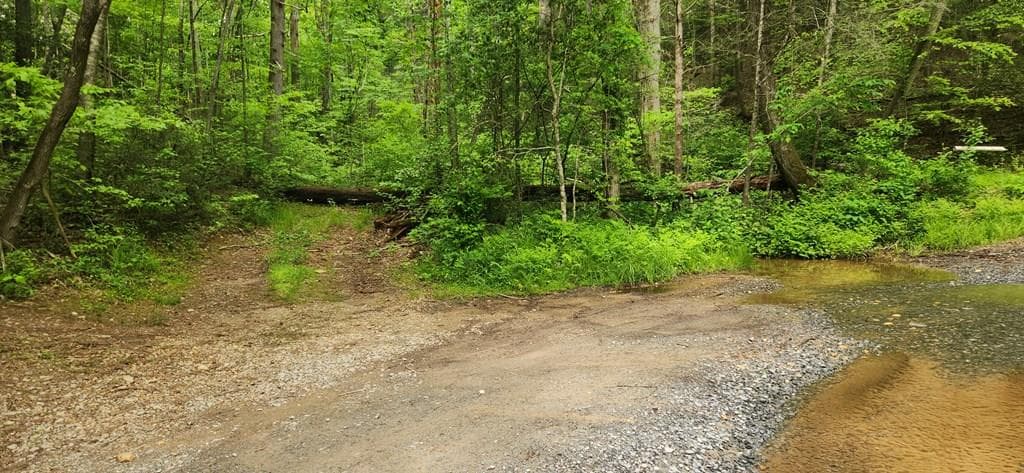 13 Acres Goose Island Road, Ellijay GA 30540 - Primary photo