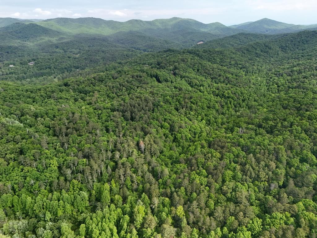 13 Acres Goose Island Road, Ellijay GA 30540 - Photo