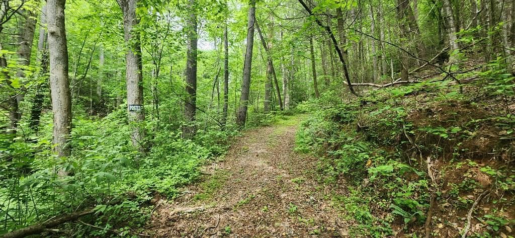 13 Acres Goose Island Road, Ellijay GA 30540 - Photo