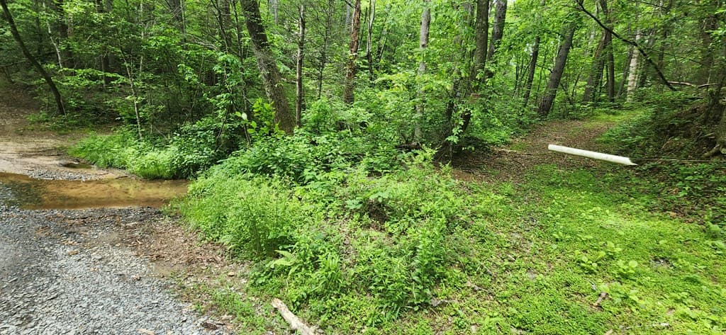13 Acres Goose Island Road, Ellijay GA 30540 - Photo