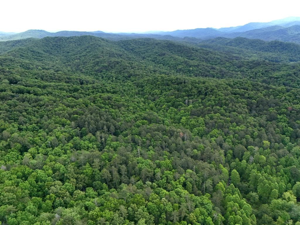 13 Acres Goose Island Road, Ellijay GA 30540 - Photo