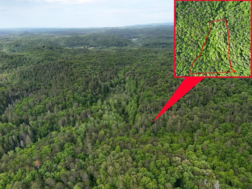 13 Acres Goose Island Road, Ellijay GA 30540 - Photo