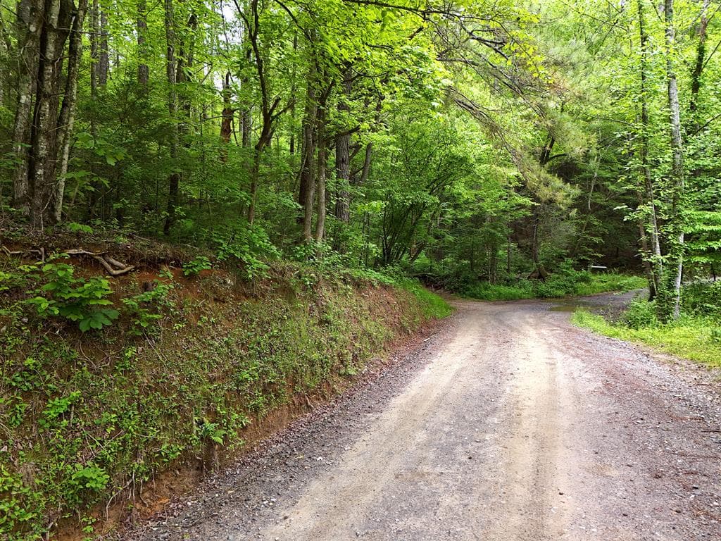 13 Acres Goose Island Road, Ellijay GA 30540 - Photo