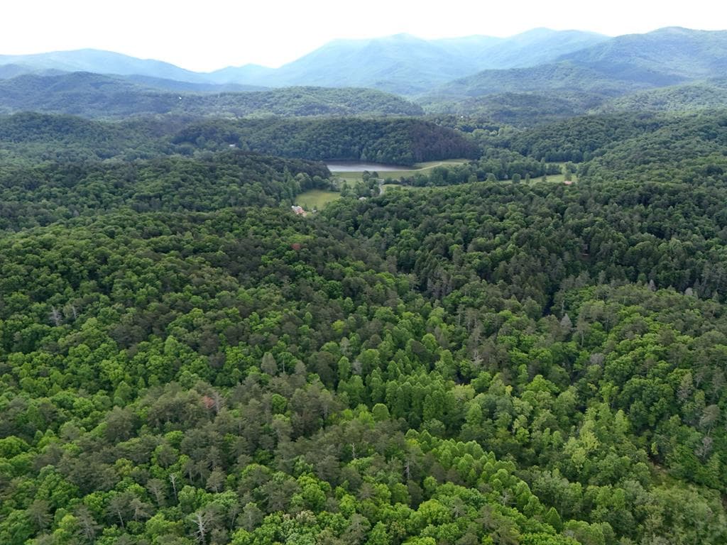 13 Acres Goose Island Road, Ellijay GA 30540 - Photo