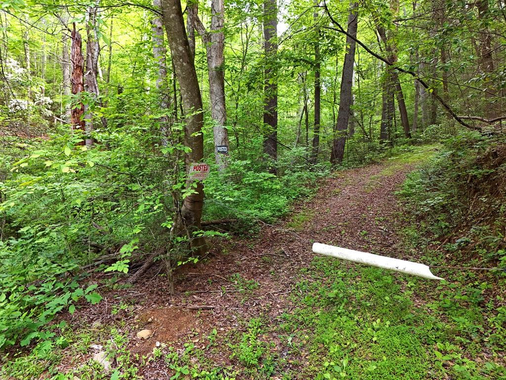 13 Acres Goose Island Road, Ellijay GA 30540 - Photo