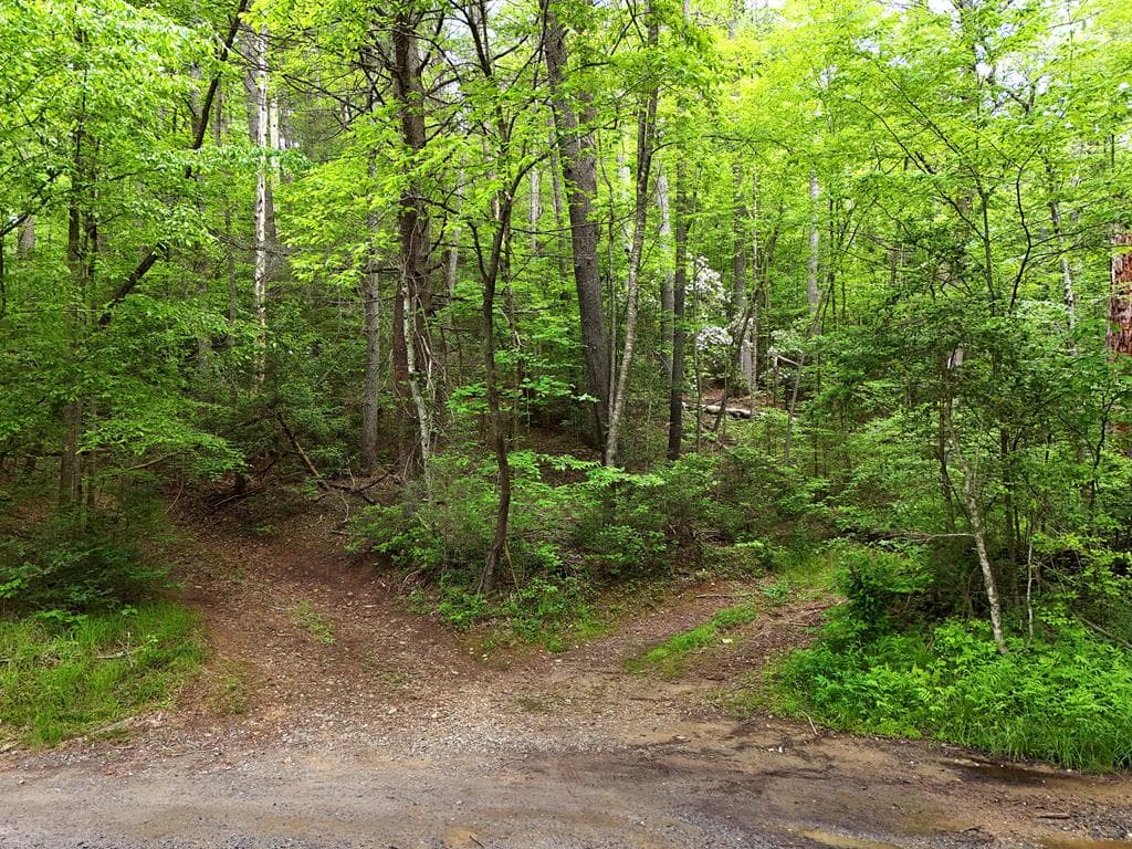 13 Acres Goose Island Road, Ellijay GA 30540 - Photo