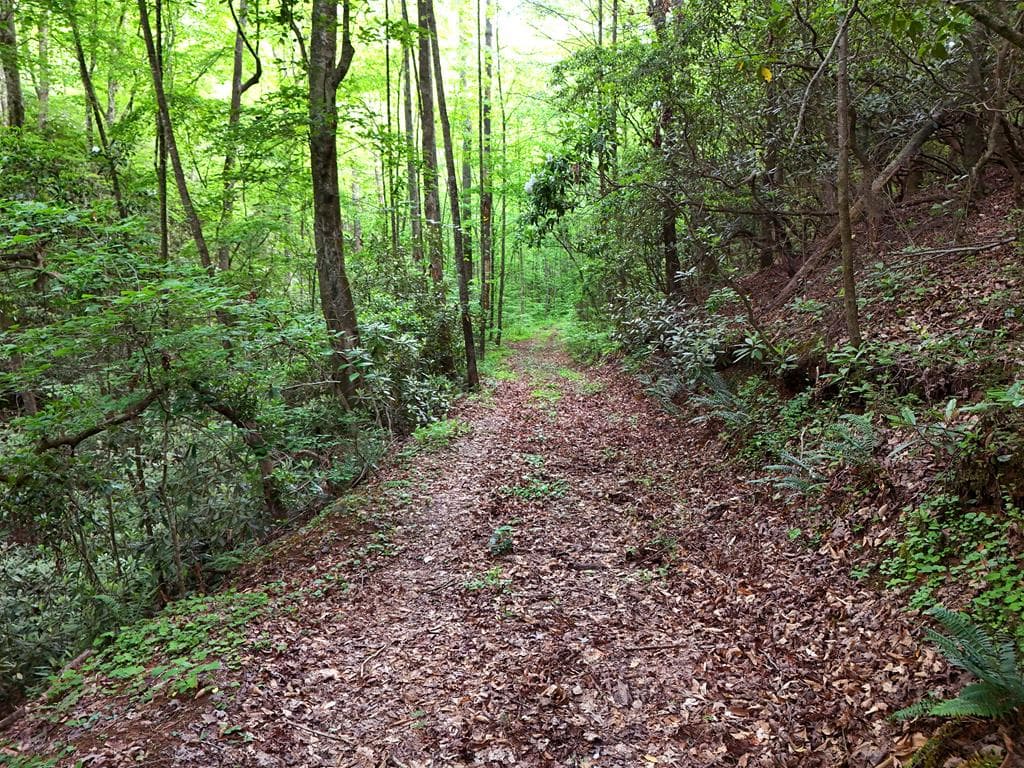 13 Acres Goose Island Road, Ellijay GA 30540 - Photo