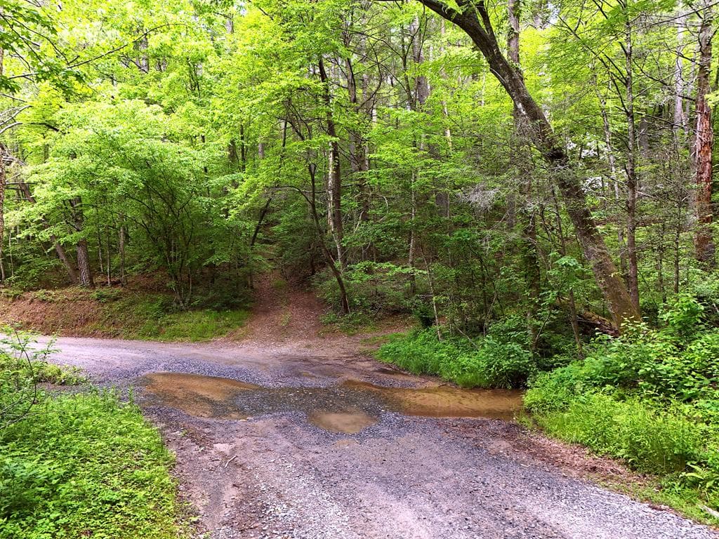13 Acres Goose Island Road, Ellijay GA 30540 - Photo