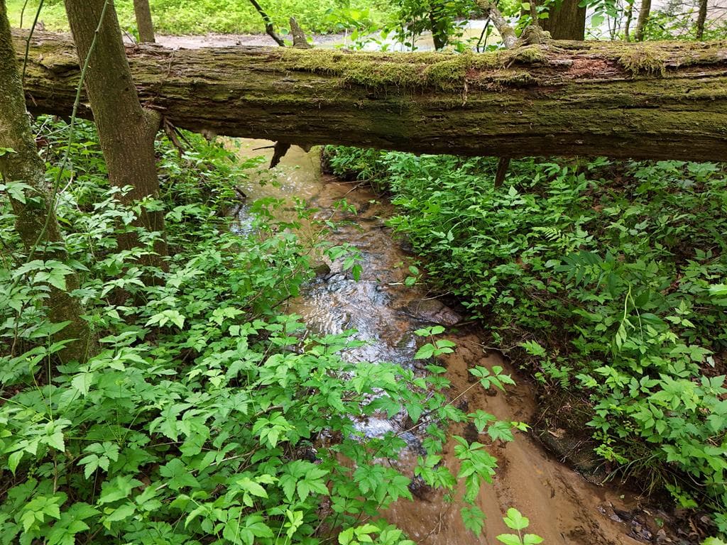 13 Acres Goose Island Road, Ellijay GA 30540 - Photo