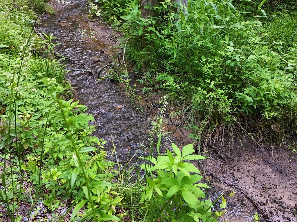 13 Acres Goose Island Road, Ellijay GA 30540 - Photo