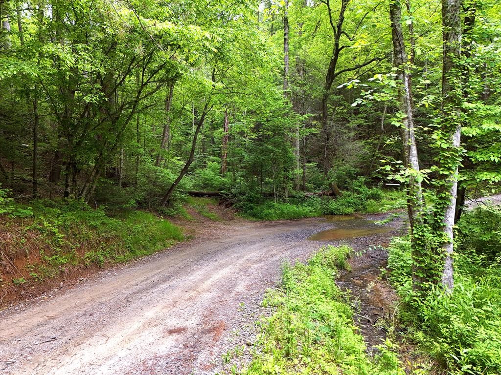 13 Acres Goose Island Road, Ellijay GA 30540 - Photo
