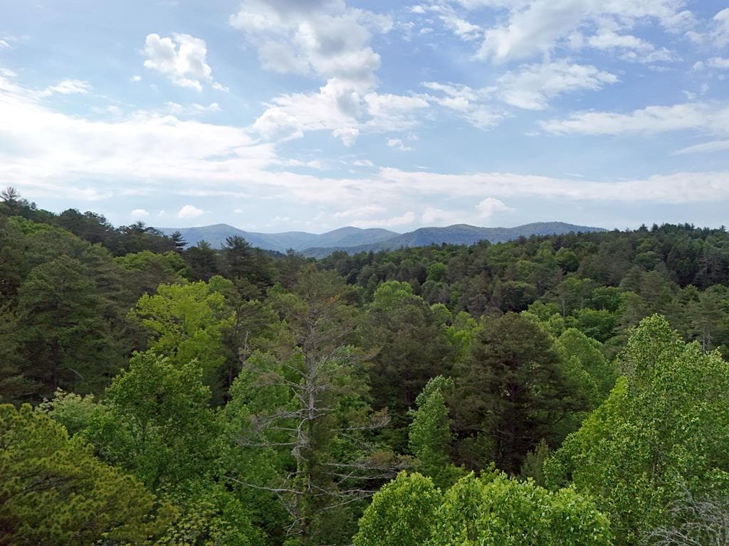 13 Acres Goose Island Road, Ellijay GA 30540 - Photo