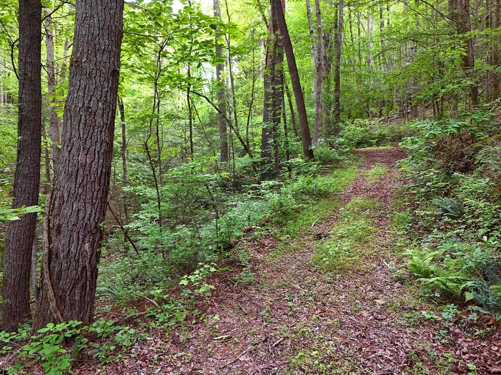 13 Acres Goose Island Road, Ellijay GA 30540 - Photo