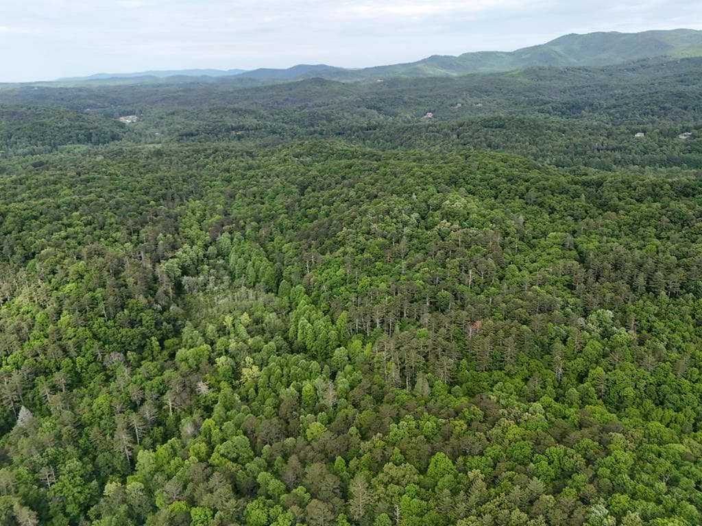13 Acres Goose Island Road, Ellijay GA 30540 - Photo
