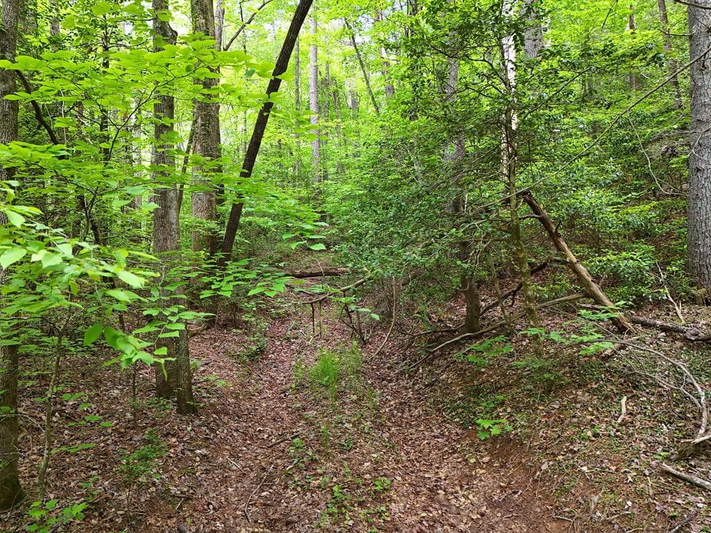 13 Acres Goose Island Road, Ellijay GA 30540 - Photo