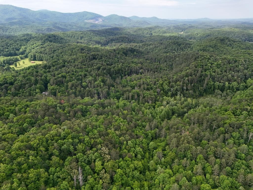 13 Acres Goose Island Road, Ellijay GA 30540 - Photo