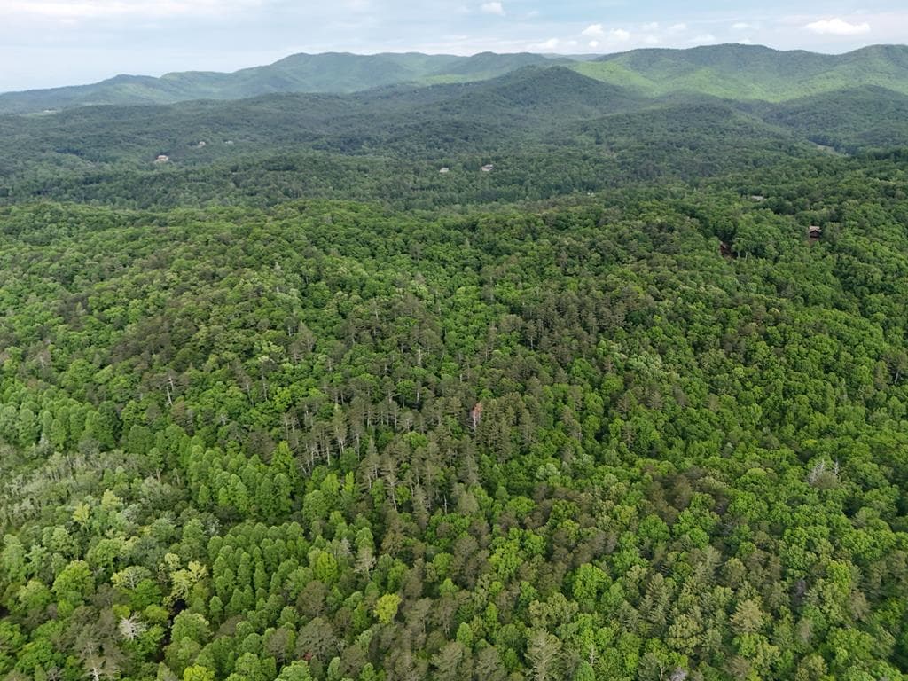 13 Acres Goose Island Road, Ellijay GA 30540 - Photo