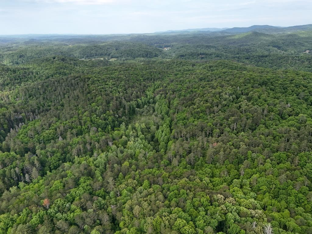 13 Acres Goose Island Road, Ellijay GA 30540 - Photo