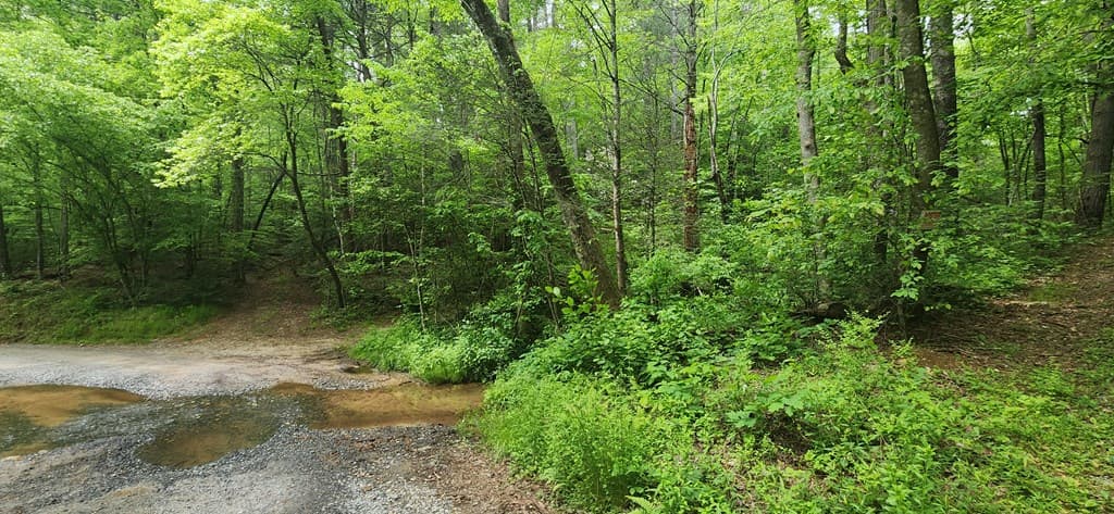 13 Acres Goose Island Road, Ellijay GA 30540 - Photo