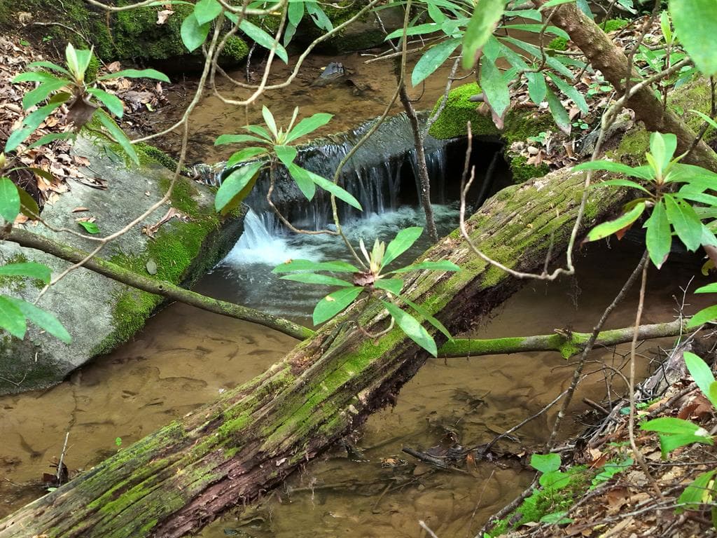 13 Acres Goose Island Road, Ellijay GA 30540 - Photo