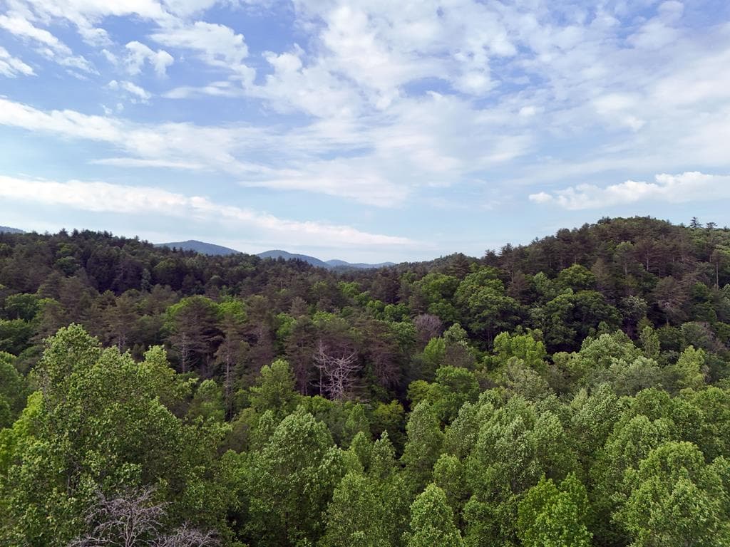 13 Acres Goose Island Road, Ellijay GA 30540 - Photo