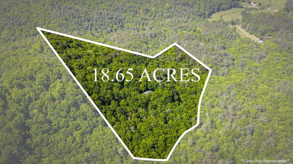 66 Windy Hill Drive, Cherry Log GA 30522 - Photo