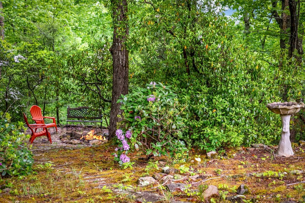 66 Windy Hill Drive, Cherry Log GA 30522 - Photo