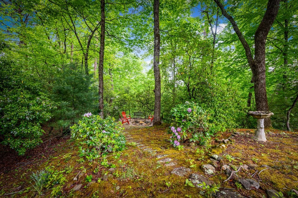 66 Windy Hill Drive, Cherry Log GA 30522 - Photo