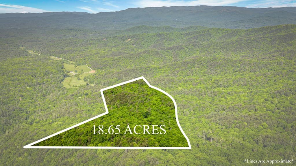 66 Windy Hill Drive, Cherry Log GA 30522 - Photo