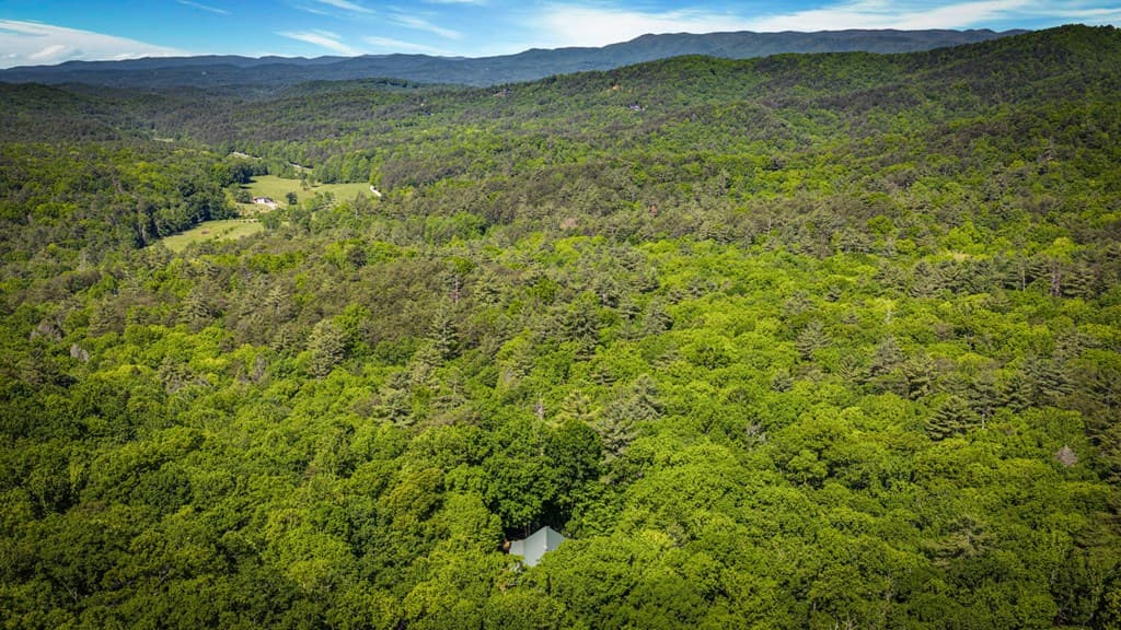 66 Windy Hill Drive, Cherry Log GA 30522 - Photo