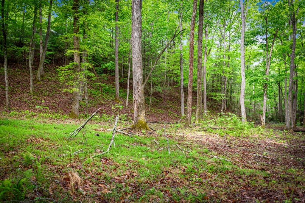 66 Windy Hill Drive, Cherry Log GA 30522 - Photo