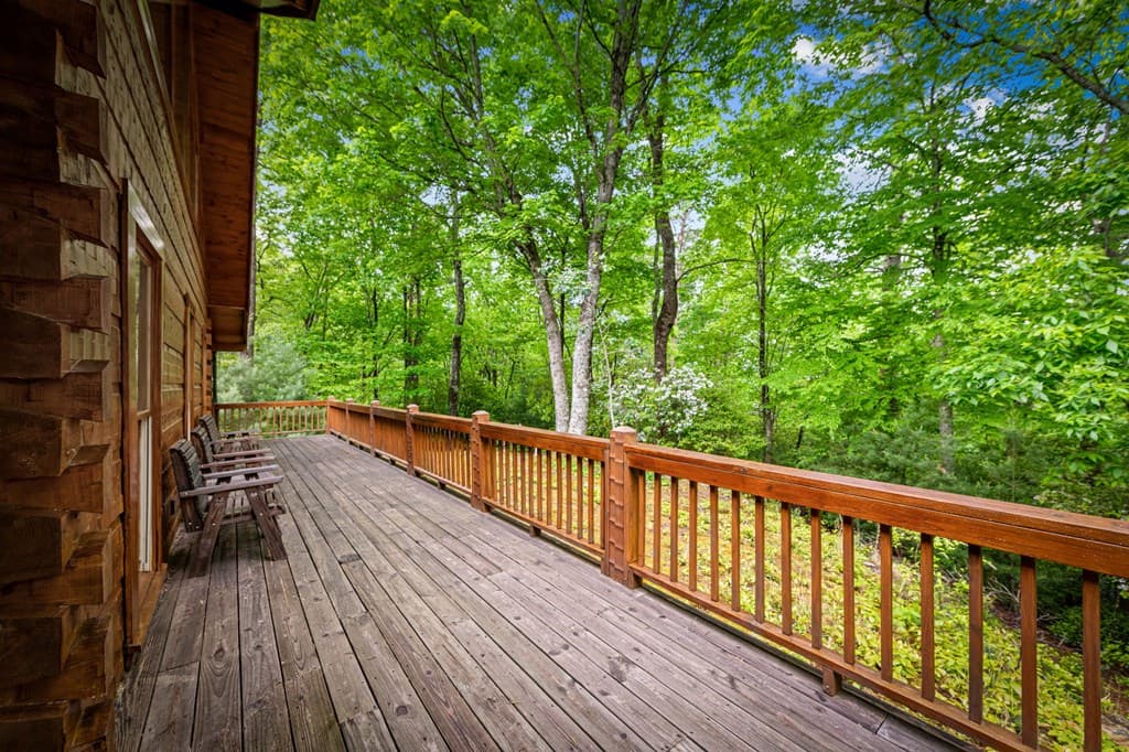 66 Windy Hill Drive, Cherry Log GA 30522 - Photo