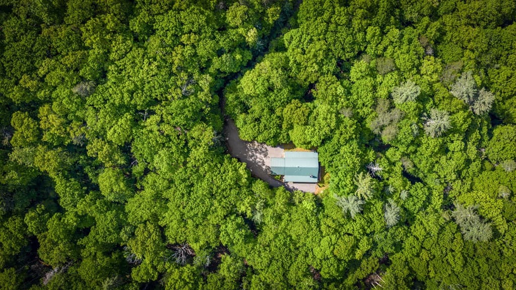66 Windy Hill Drive, Cherry Log GA 30522 - Photo